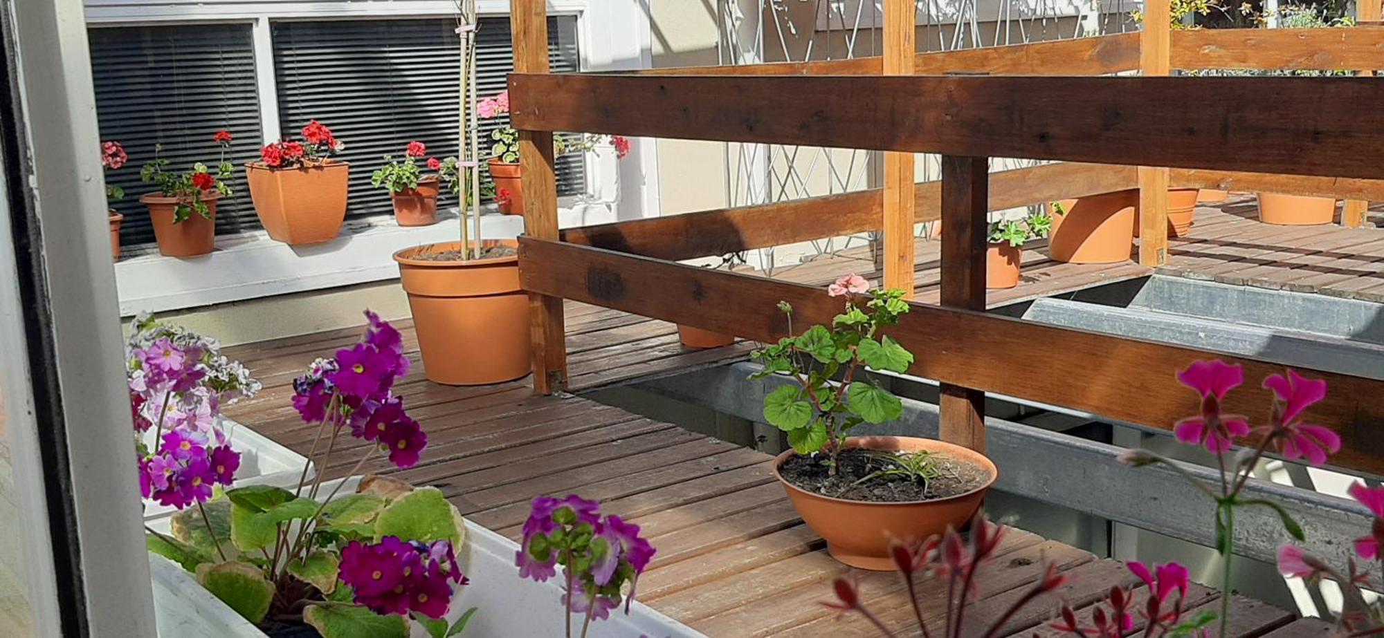 Apartament San Francisco Mar del Plata Zewnętrze zdjęcie