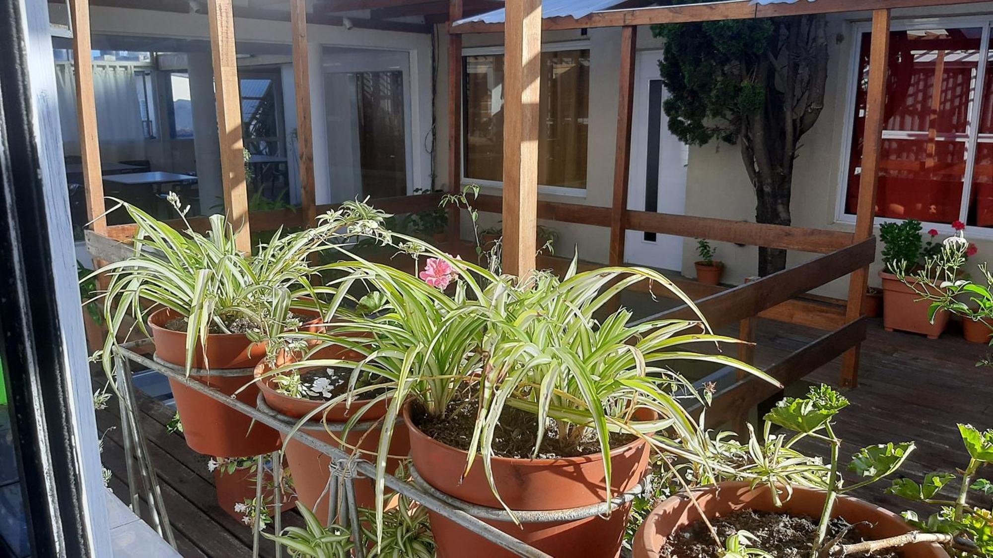 Apartament San Francisco Mar del Plata Zewnętrze zdjęcie